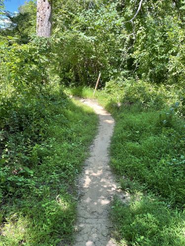 metroparks mountain biking area