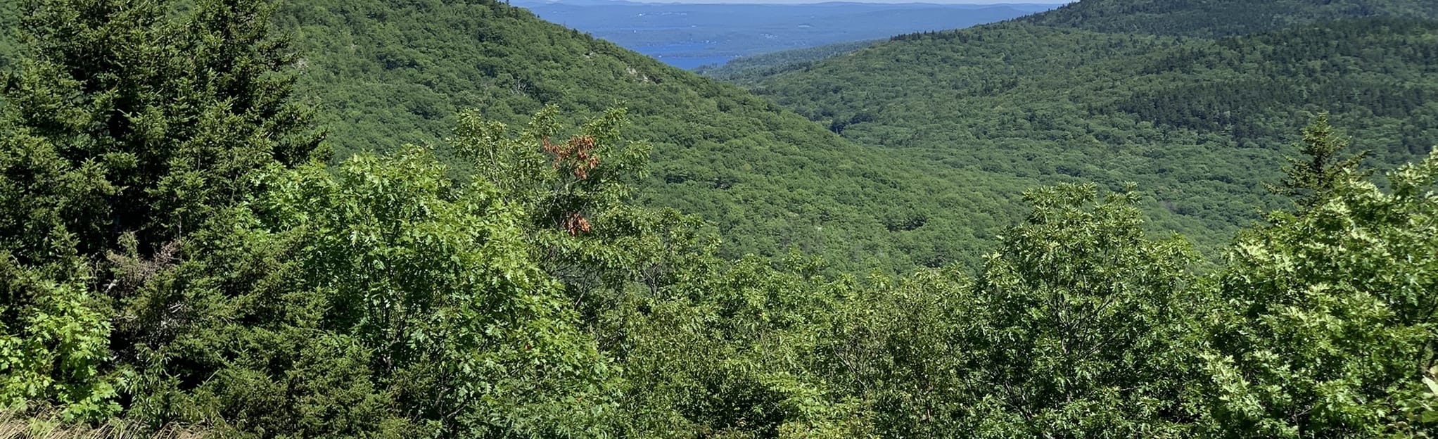 Piper Mountain and Old Piper Trail Loop New Hampshire AllTrails