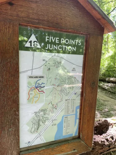 metroparks mountain biking area