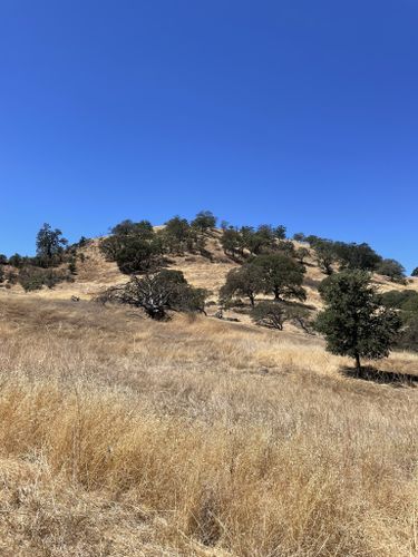 Photos of Fossil Hill Loop Trail - California | AllTrails