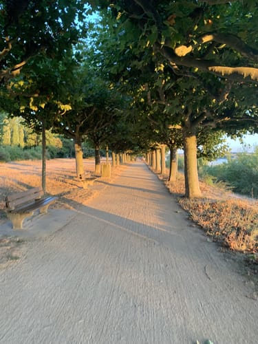 Mainufer: Schlosspark - Zollhafen - Burgpark