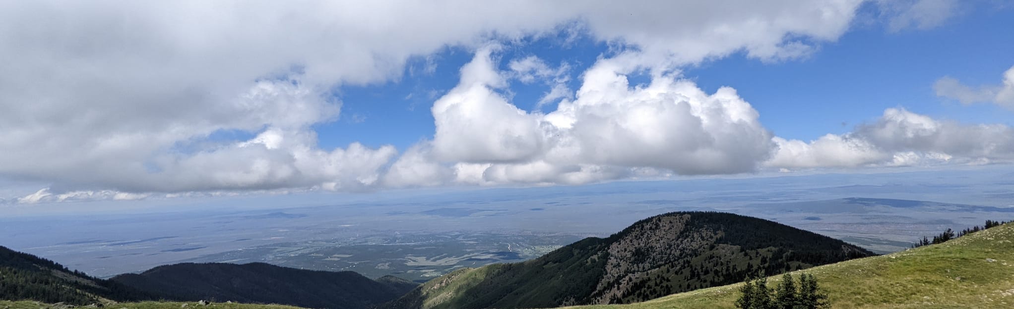 Lobo Peak Via Yerba Canyon Trail 213 foto's New Mexico AllTrails