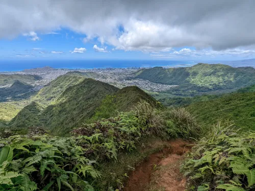 10 Best Hard Trails In Round Top Forest Reserve 