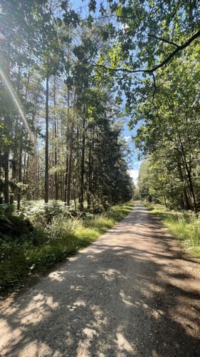 Von Gerdehaus zur Örtze über Wolfkuhlen