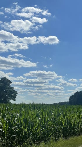Von Gerdehaus zur Örtze über Wolfkuhlen