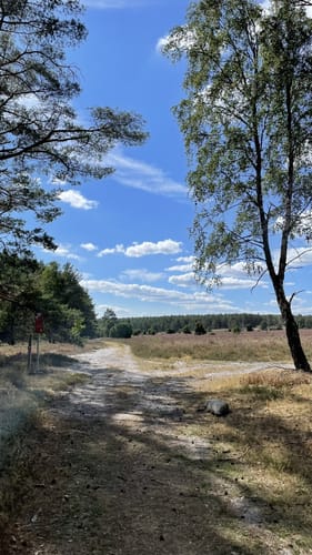 Von Gerdehaus zur Örtze über Wolfkuhlen