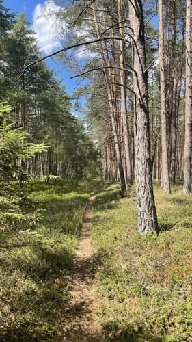 Von Gerdehaus zur Örtze über Wolfkuhlen