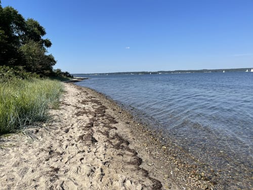 Runde im Friedeholz