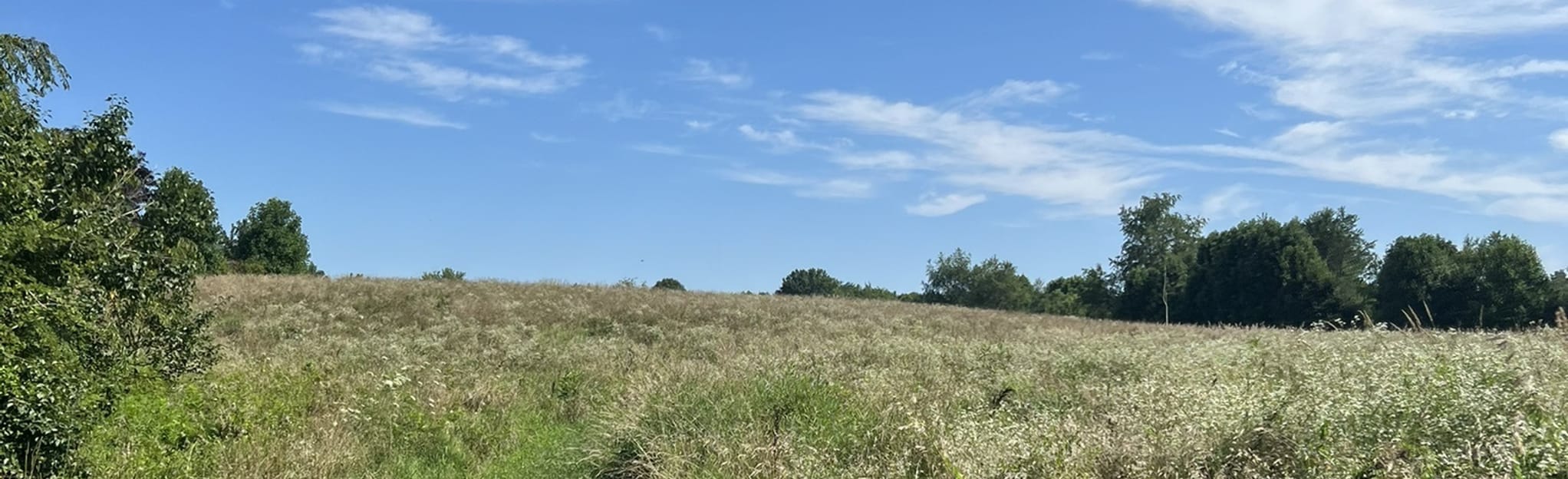 Stateline Woods Loop 191 foto Pennsylvania AllTrails