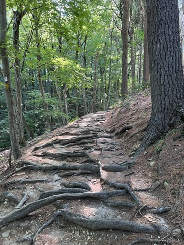 Cold Spring Harbor Hiking Trail Xmr_Mnlnz0Ccem