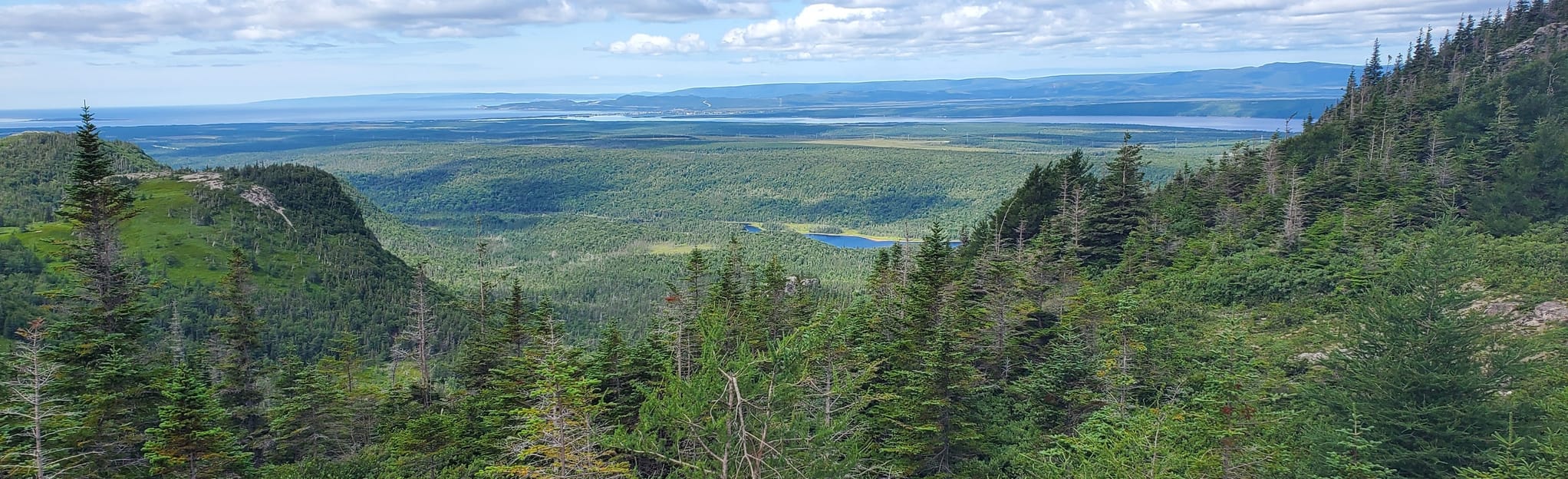 Erin Mountain Trail 58 Photos TerreNeuveetLabrador, Canada