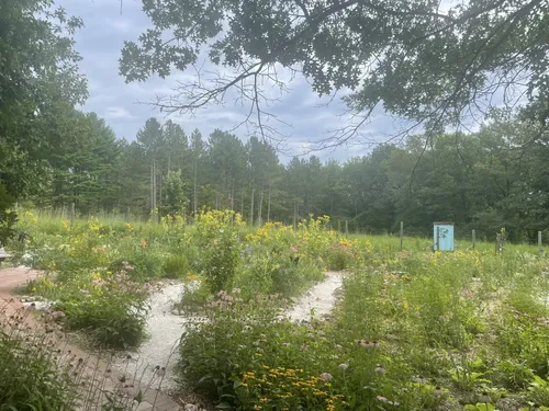 Best Hikes and Trails in Kettle Moraine State Forest Lapham Peak Unit ...