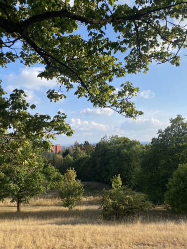 Hof: Bürgerpark Theresienstein an der Saale entlang