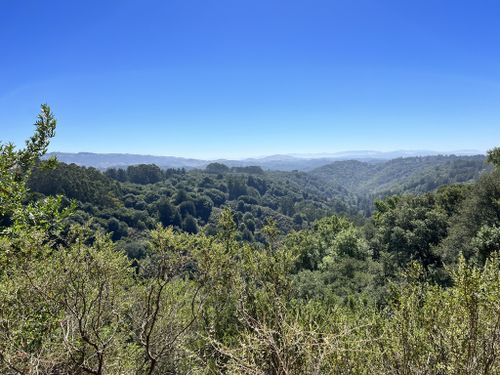 are dogs allowed in redwood regional park