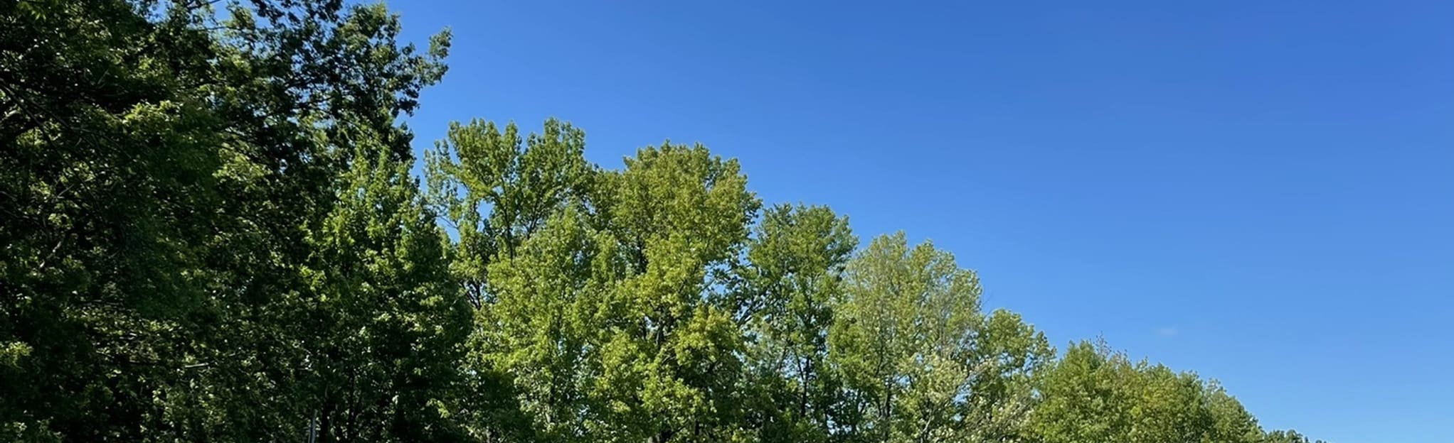 Bonsall Park Loop, Delaware 71 Reviews, Map AllTrails