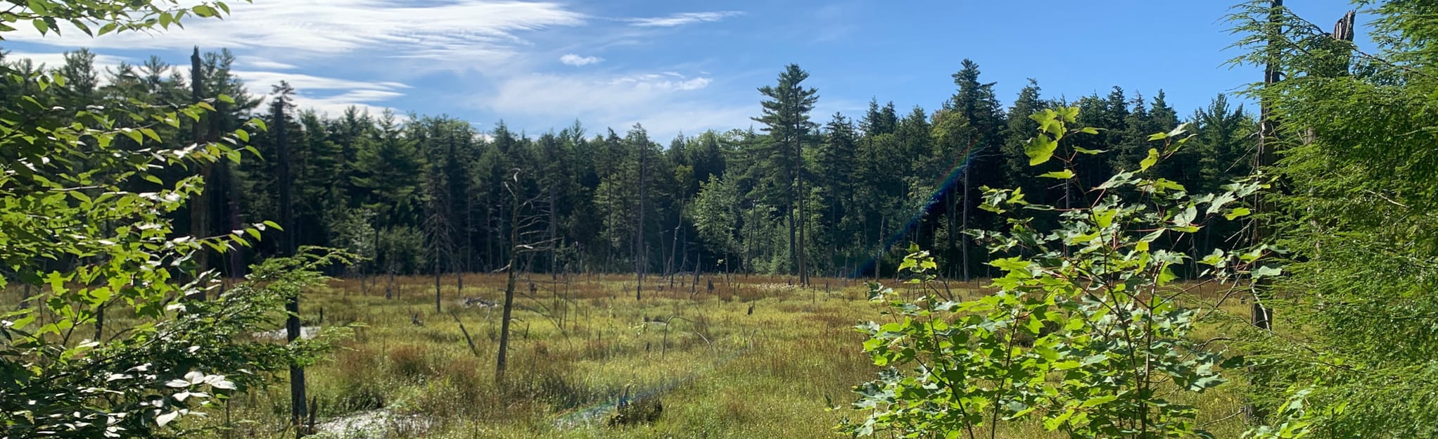 Main and Cogswell Mountain Trail, New Hampshire 43 Reviews, Map