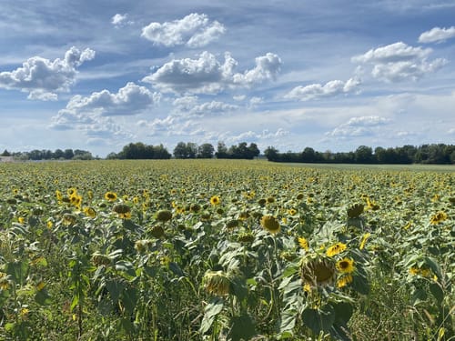 Archäologischer Rundweg Seebruck