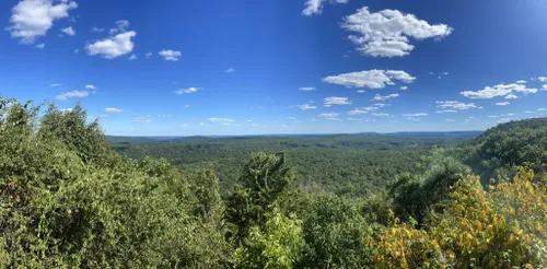 10 Best Hikes and Trails in Wildcat Ridge State Wildlife Management ...