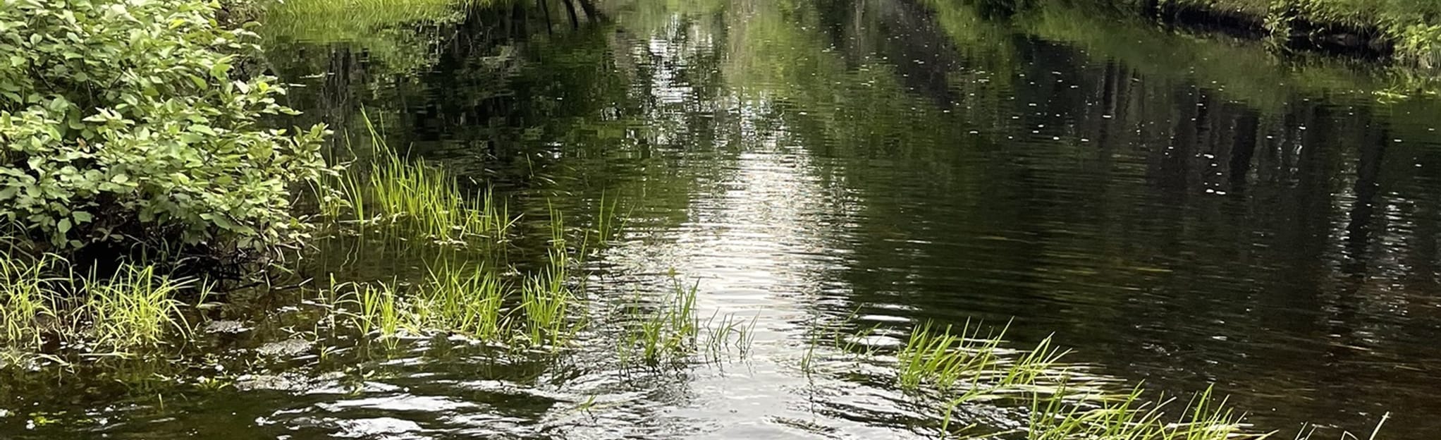 Kent Junction Falls, New Brunswick, Canada 5 Reviews, Map AllTrails