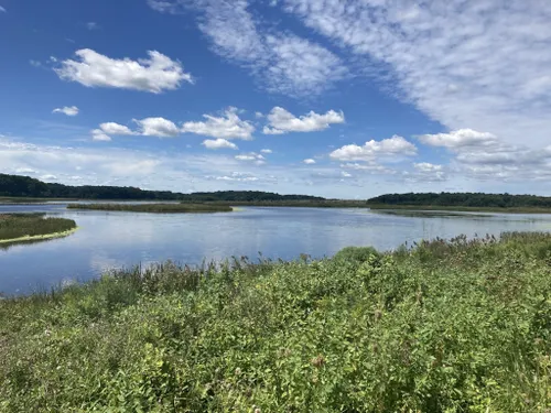 Best Hikes and Trails in Bombay Hook National Wildlife Refuge | AllTrails