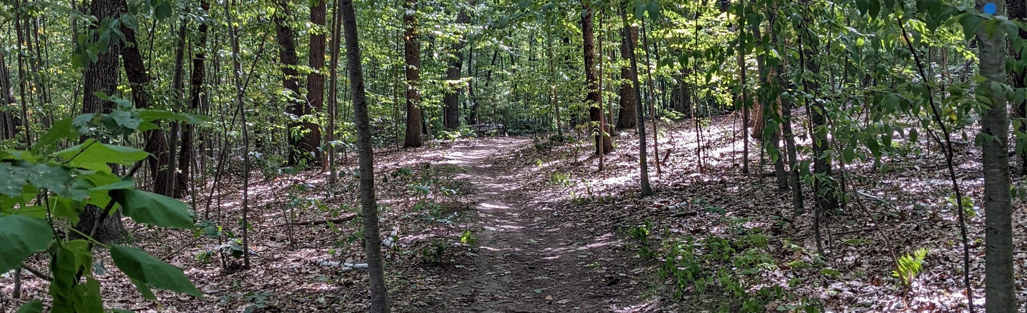 Kettle Brook Trail 38 Reviews, Map Massachusetts AllTrails