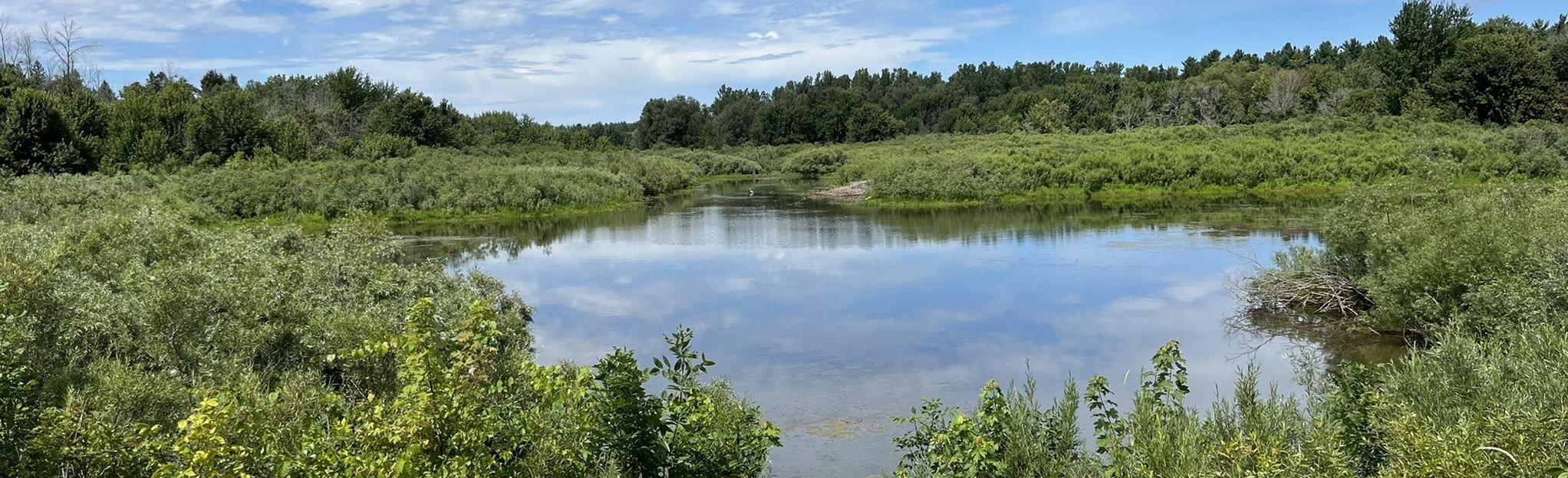 Belwood Lake Loop : 145 Photos - Ontario, Canada | Randonnée | AllTrails