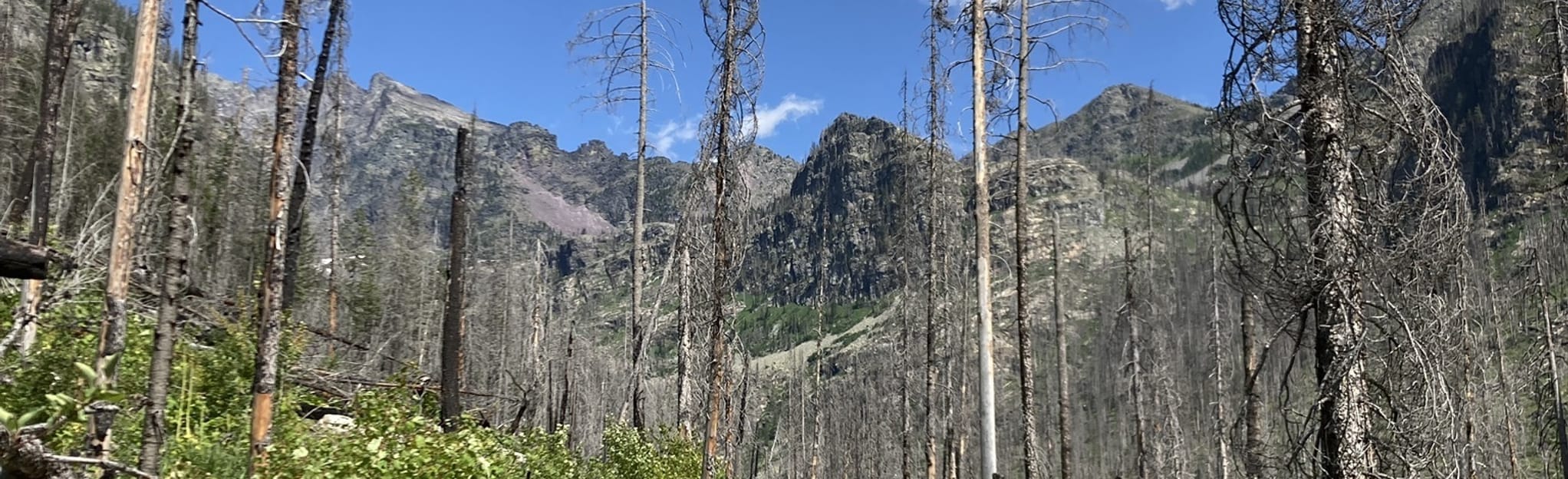 Comeau Pass Via Sperry Lake Trail 75 Reviews, Map Montana AllTrails