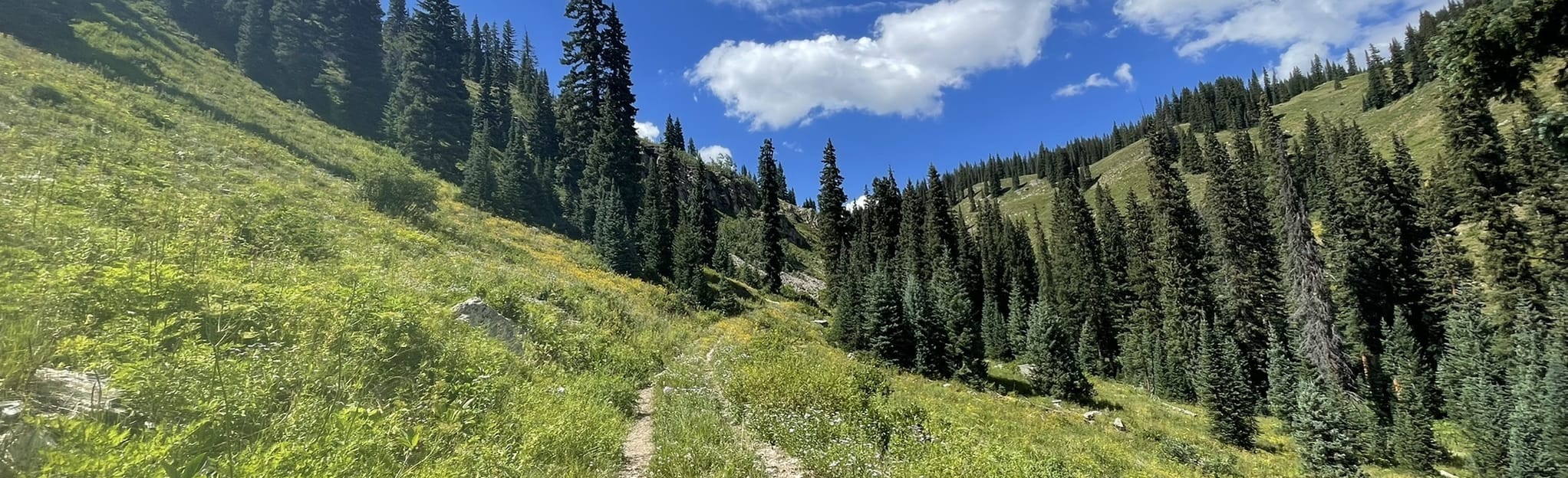 Copley Lake via Gunsight Pass Trail 585 Colorado AllTrails