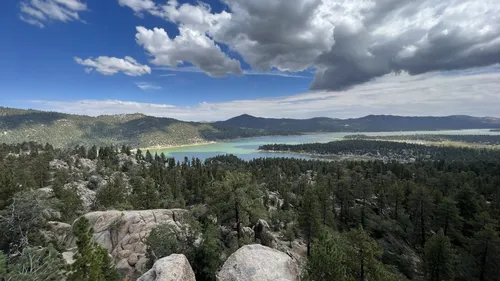 Big bear hotsell dog friendly hikes