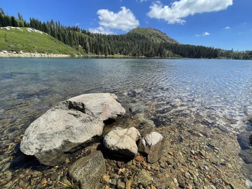 Tahoe National Forest - Fishing:River and Stream Fishing