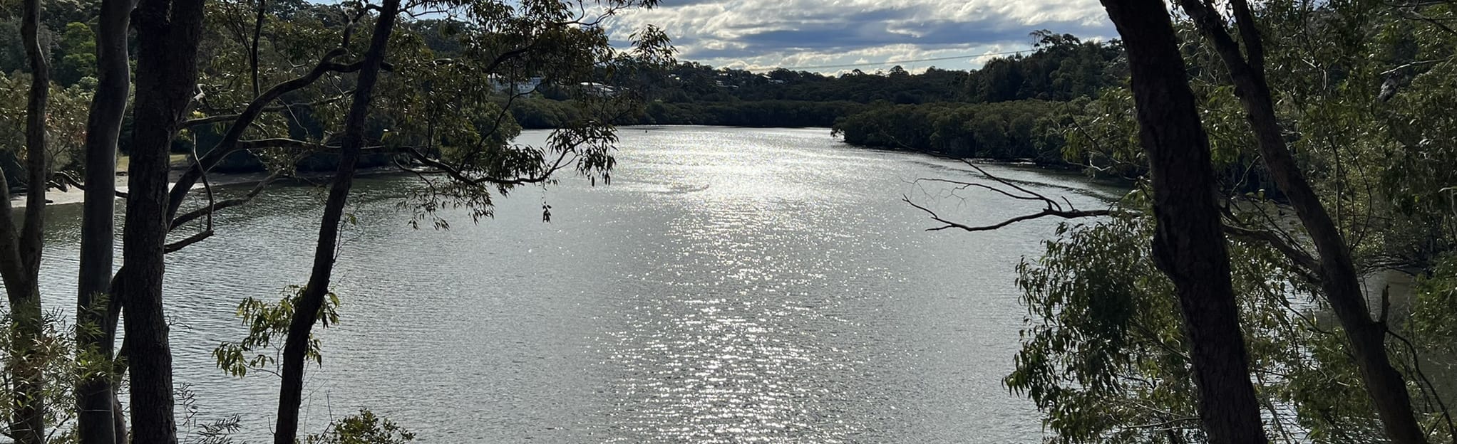 Lane Cove Valley Walk Loop Hunters Hill to Lane Cove 1.094 foto