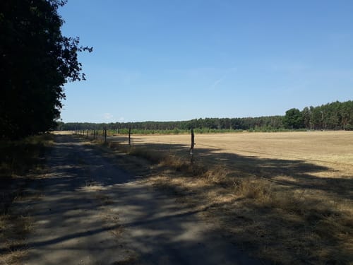 Briesen - Sielow - Spreeauen