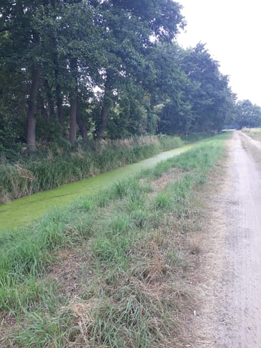 Briesen - Sielow - Spreeauen