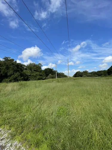 2023 Best Wheelchair Friendly Trails In Caloosahatchee Creeks Preserve 