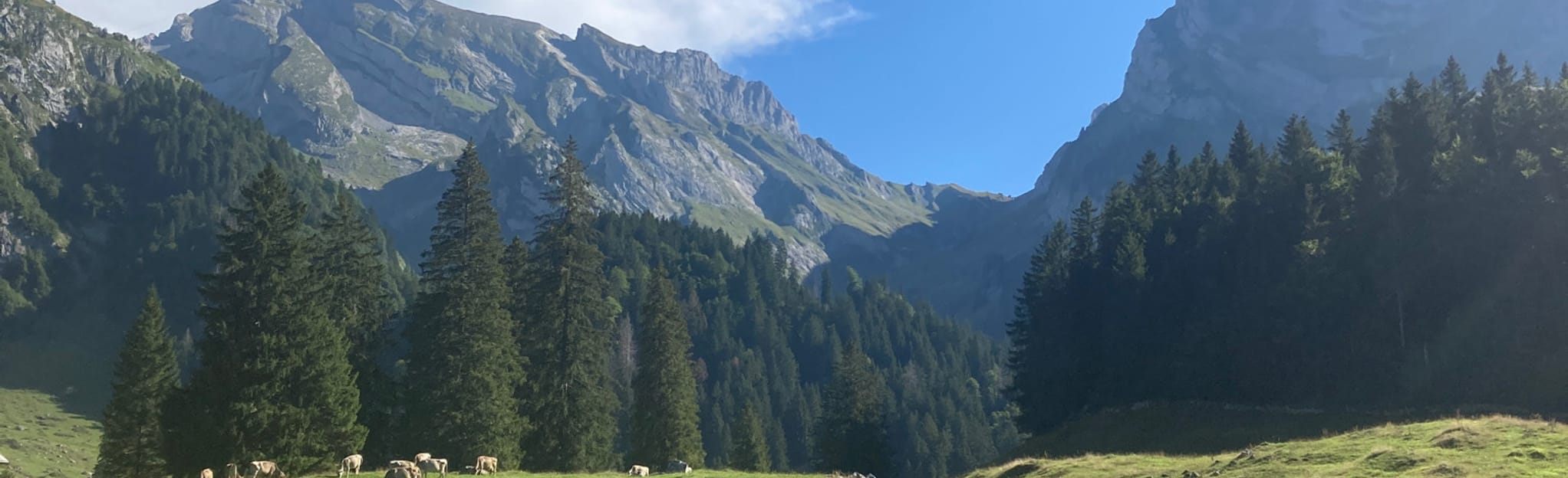 Wildhaus Gräppelensee, St. Gallen, Switzerland 2 Reviews, Map AllTrails