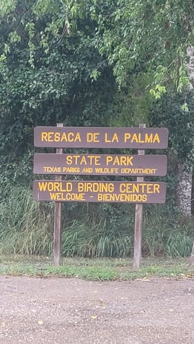 Best Hikes and Trails in Resaca de la Palma State Park | AllTrails