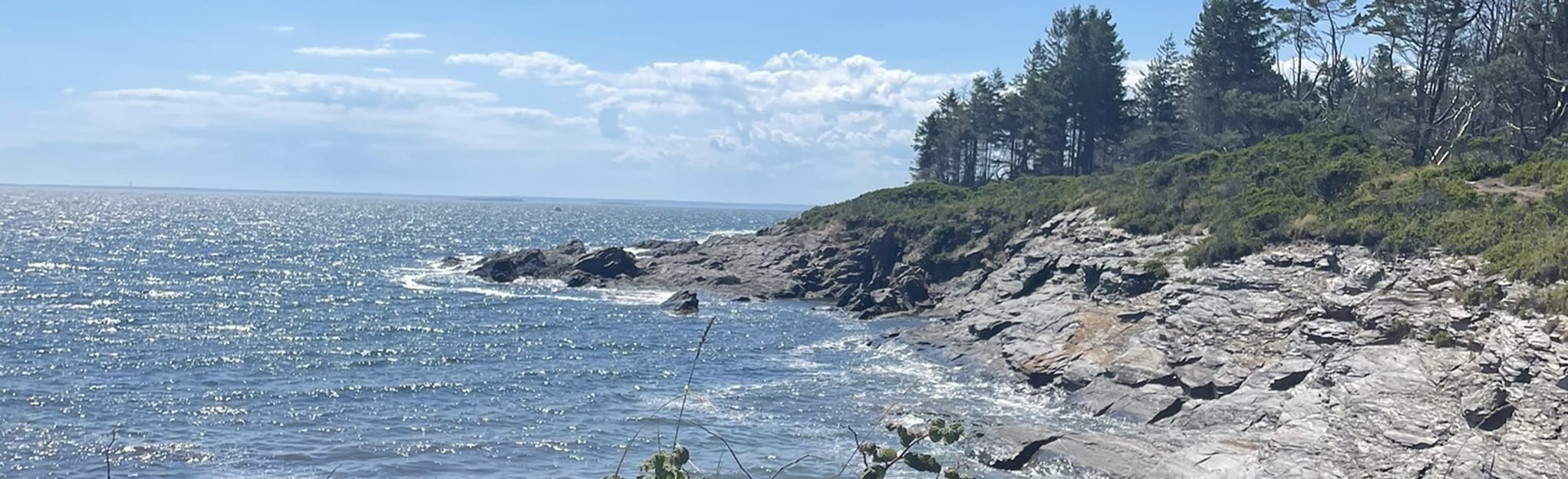 Richmond Island Perimeter Walking Path 4 Fotos Maine AllTrails