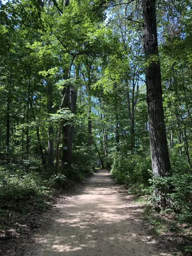 Best 10 Hikes and Trails in Hartshorne Woods County Park | AllTrails