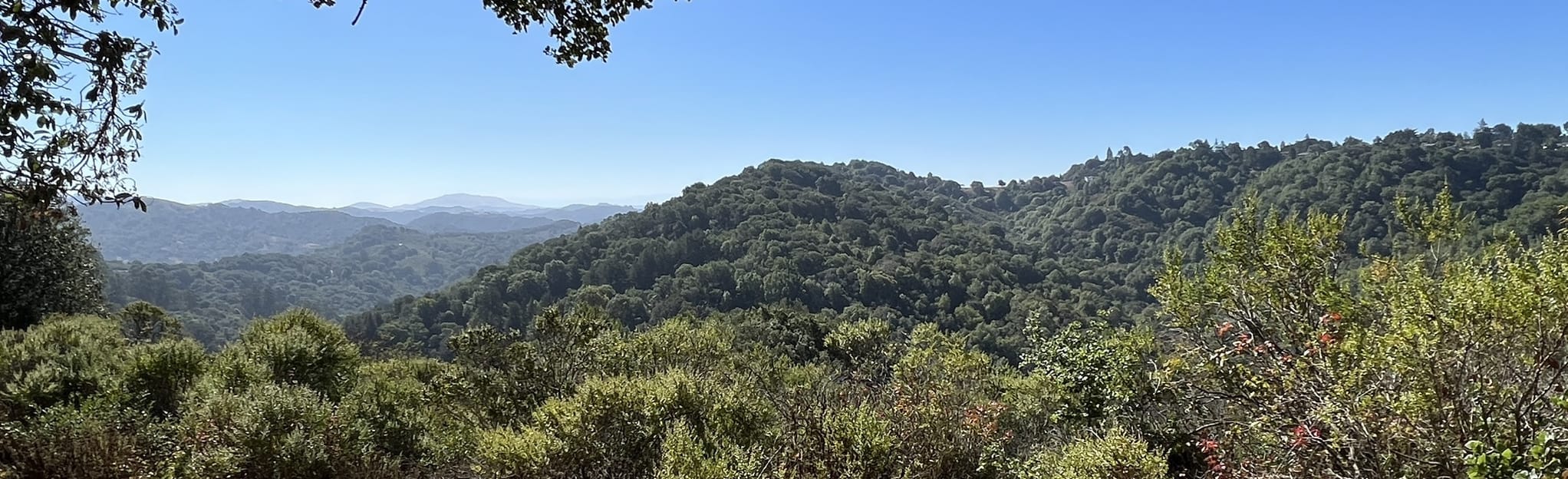 East Ridge, Golden Spike and West Ridge Loop 1.815 foto's Californië