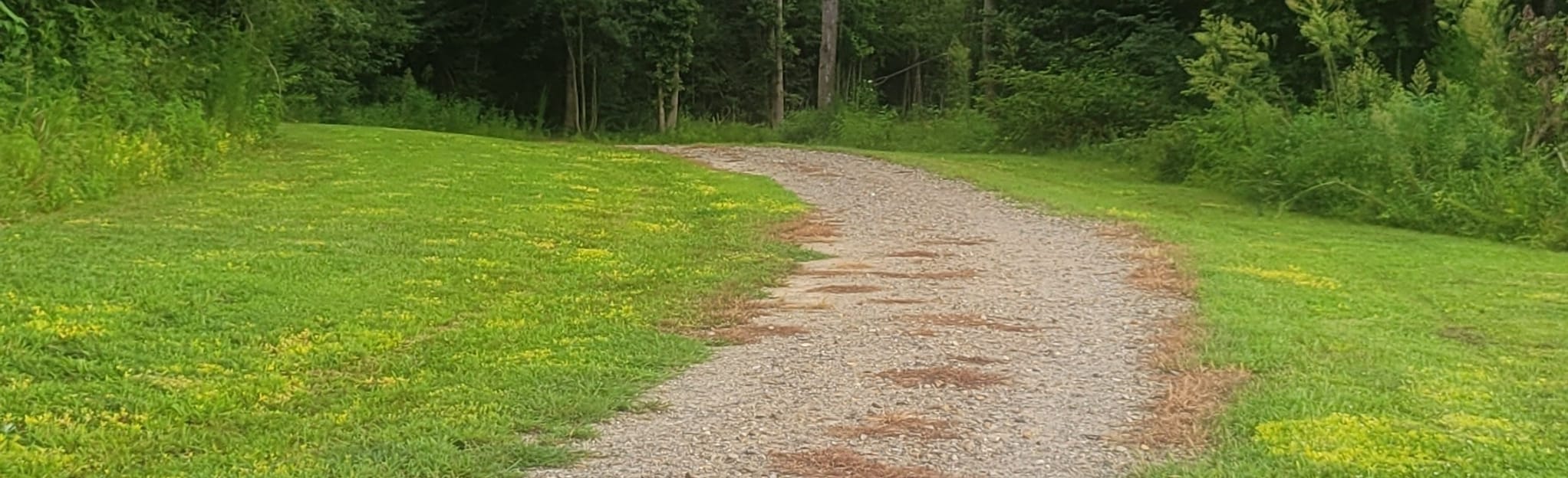 Yadkin Memorial Park Map, Guide North Carolina AllTrails