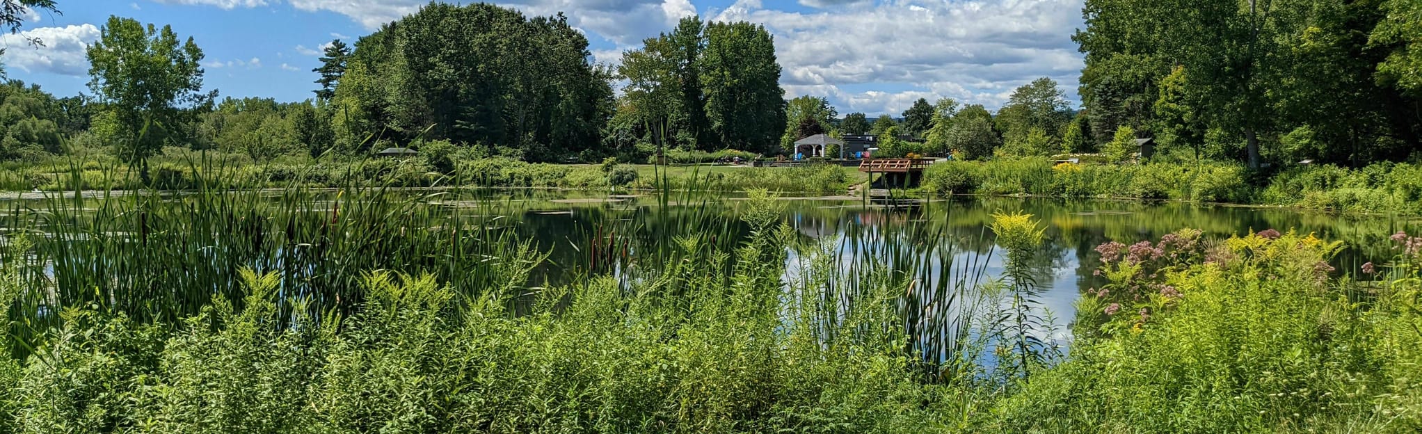 Hovey Pond Trail 60 Reviews, Map New York AllTrails