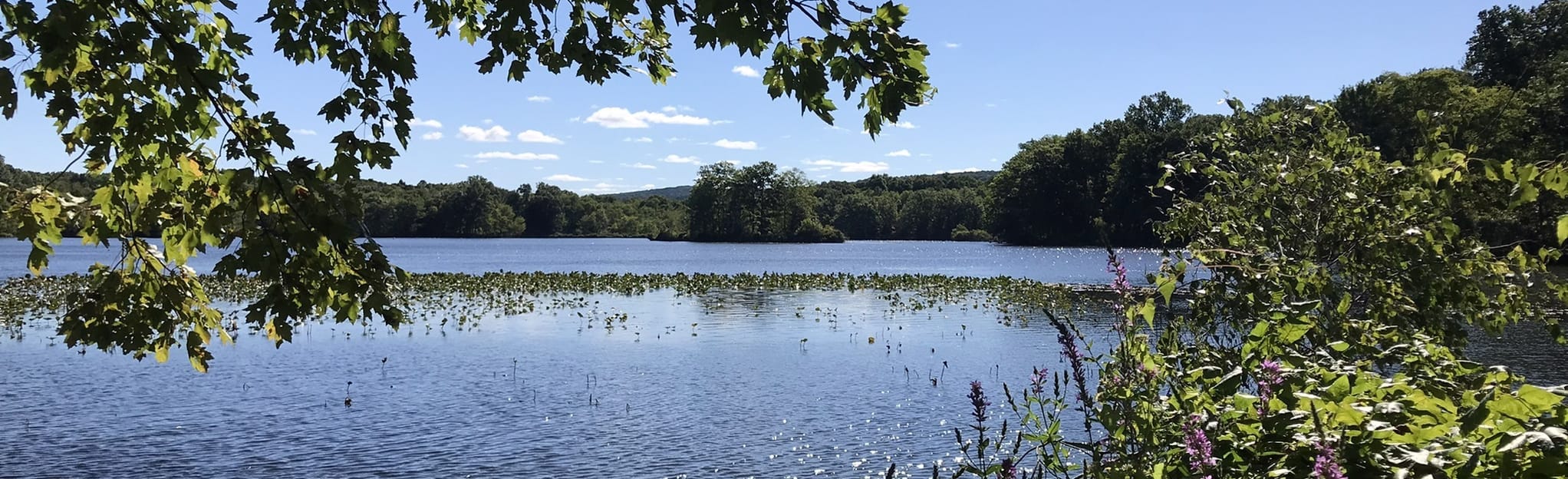 Allamuchy Red to Blue Loop, New Jersey 145 Reviews, Map AllTrails