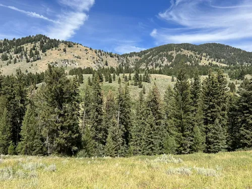 Best Kid Friendly Trails in Bridger-Teton National Forest - Jackson ...