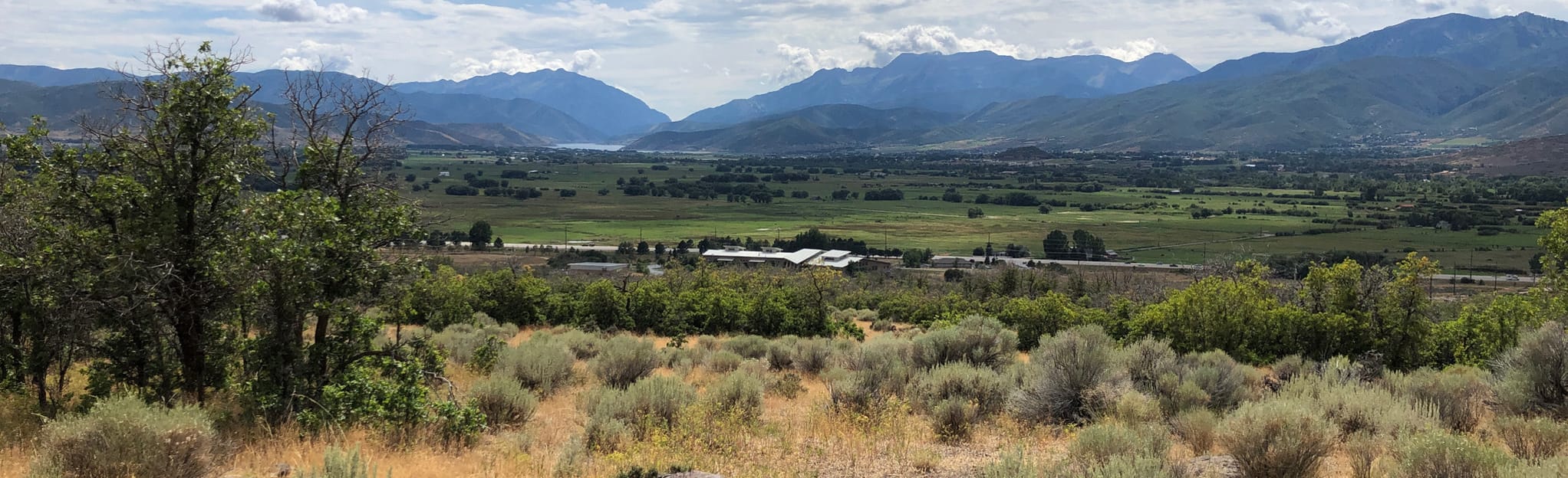 Coyote Canyon Loop from UVU Trailhead, Utah 24 Reviews, Map AllTrails