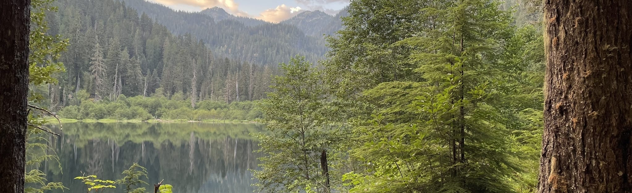 Trout Lake and Copper Lake via West Fork Foss Lakes Trail 149 Reviews