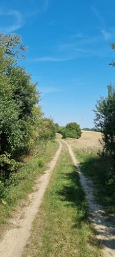 Zwischen Neuhofer See und Tempziner See