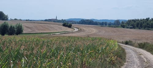 Zwischen Neuhofer See und Tempziner See