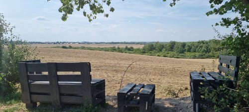Zwischen Neuhofer See und Tempziner See
