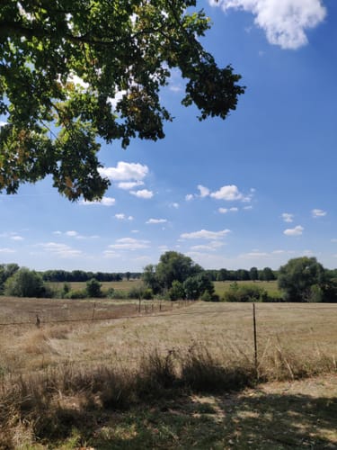 Von Fürsternberg zum Aaperweg