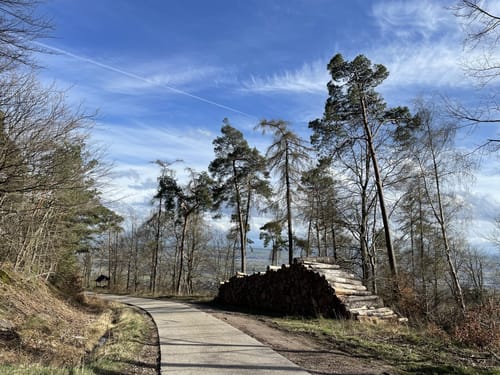 Ursprünge Zugspitzblick